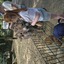 20240815 144427 - Dierentuin Bockhorn