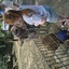 20240815 144423 - Dierentuin Bockhorn