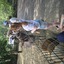 20240815 144412 - Dierentuin Bockhorn