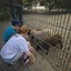 20240815 144246 - Dierentuin Bockhorn