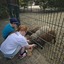 20240815 144244 - Dierentuin Bockhorn