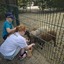 20240815 144241 - Dierentuin Bockhorn
