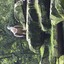 20240815 113855 - Dierentuin Bockhorn