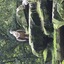 20240815 113852 - Dierentuin Bockhorn