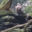 20240815 113631 - Dierentuin Bockhorn