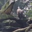 20240815 113627 - Dierentuin Bockhorn