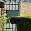 20240822 111908 - Grefrath