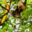 PSX 20250303 172944 - Burgers Zoo