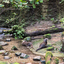 PSX 20250303 173023 - Burgers Zoo