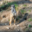 PSX 20250303 174259 - Burgers Zoo