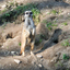 PSX 20250303 172331 - Burgers Zoo