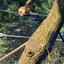 PSX 20250303 173326 - Burgers Zoo