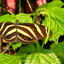 PSX 20250303 172455 - Burgers Zoo