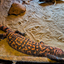 PSX 20250303 173458 - Burgers Zoo