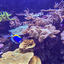PSX 20250303 172552 - Burgers Zoo
