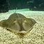PSX 20250303 172715 - Burgers Zoo