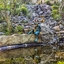 PSX 20240829 170509 - efteling divers