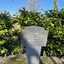 IMG-20250318-WA0003 - Diversen
