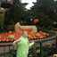 IMG-20241024-WA0010 - Diversen