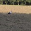 20240808 191553 - Diversen