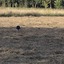 20240808 191428 - Diversen