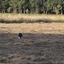 20240808 191422 - Diversen
