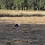 20240808 191421 - Diversen