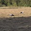 20240808 191413 - Diversen