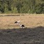 20240808 191410 - Diversen