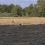 20240808 191358 - Diversen