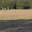 20240808 183940 - Diversen