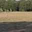 20240808 183937 - Diversen