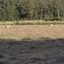 20240808 183913 - Diversen