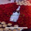 Floristería Santiago | supe... - Picture Box