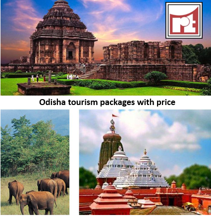 Explore Odisha Richi Travels Tourism Packages with Picture Box