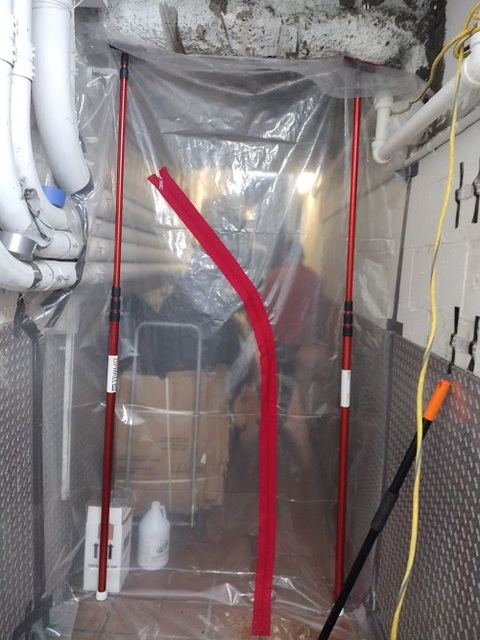 mold remediation near me BioTek Mold Specialists NYC