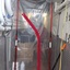 mold remediation near me - BioTek Mold Specialists NYC