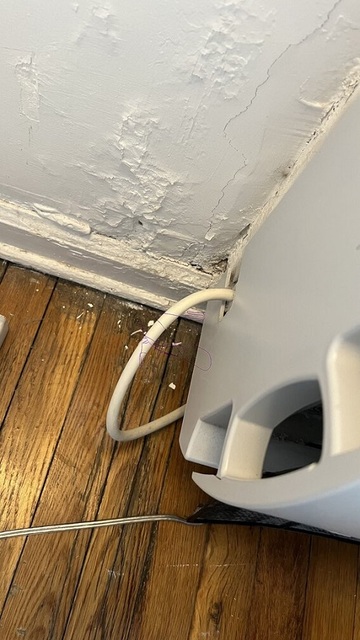 mold remediation nyc BioTek Mold Specialists NYC