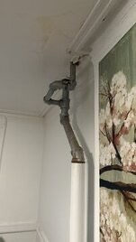 mold removal brooklyn BioTek Mold Specialists NYC