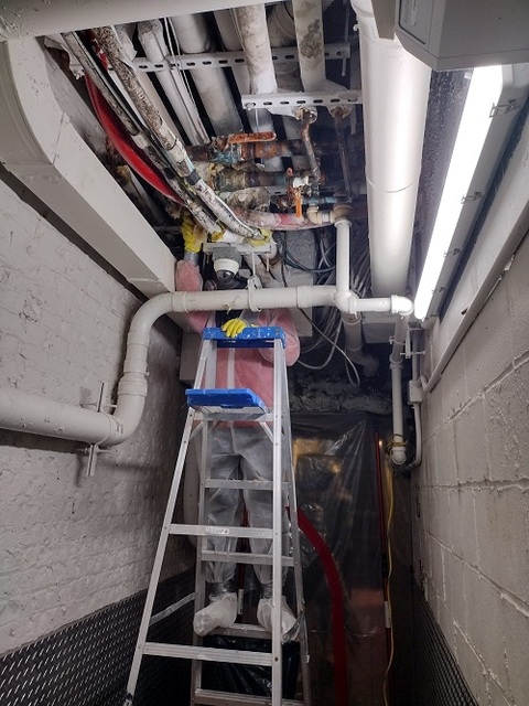 mold removal nyc BioTek Mold Specialists NYC