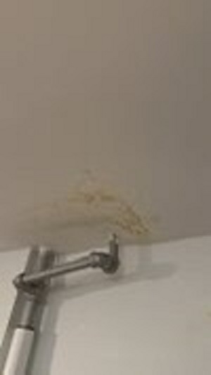 water damage restoration near me BioTek Mold Specialists NYC