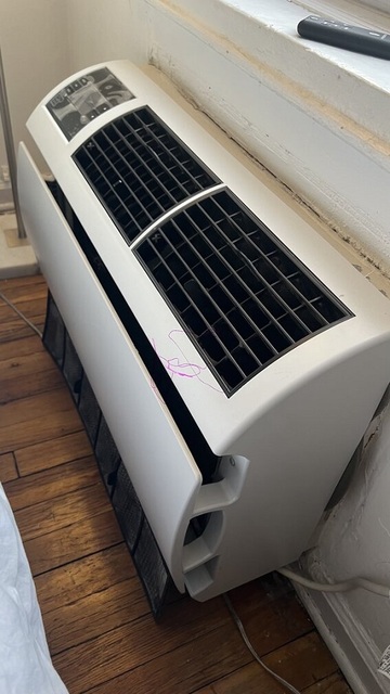 water damage restoration nyc BioTek Mold Specialists NYC