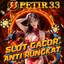 de - petir33