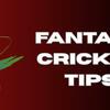 Fantasy Cricket Tips - Picture Box