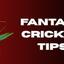 Fantasy Cricket Tips - Picture Box