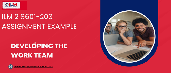 ILM 2 8601-203 Assignment Example Picture Box