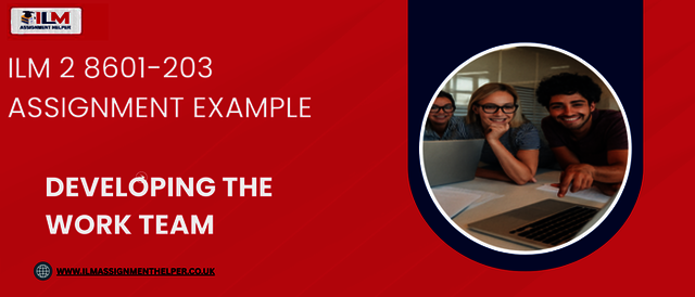 ILM 2 8601-203 Assignment Example Picture Box