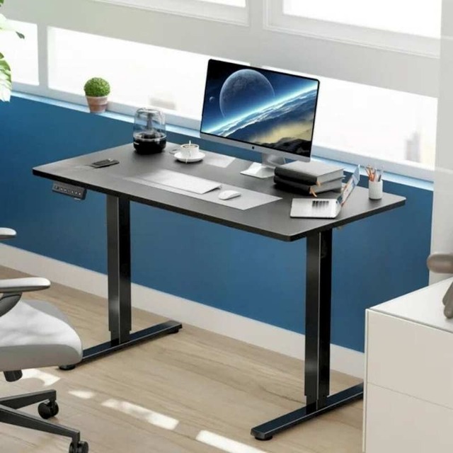 The Ultimate Standing Desk for Every Professional Standing Desk