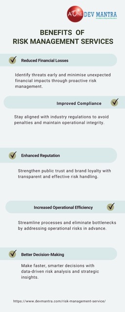 Devmantra Infograpic Cfo virtual services in Bangalore