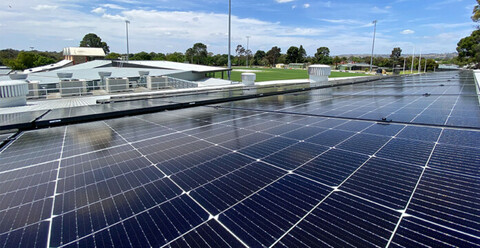 tindo-696x359 - Anonymous